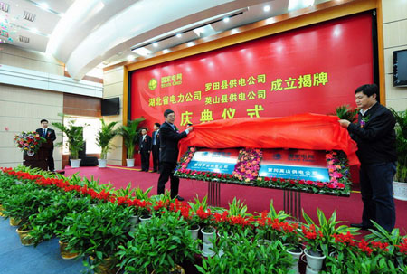 湖北省電力公司2010年正式揭牌成立公司有那些？